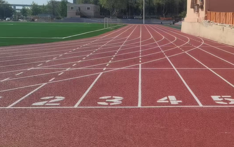 哈尔滨市仿真草坪学校运动操场 - 推荐